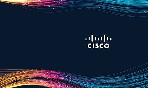 Image of two gorillas in a forest