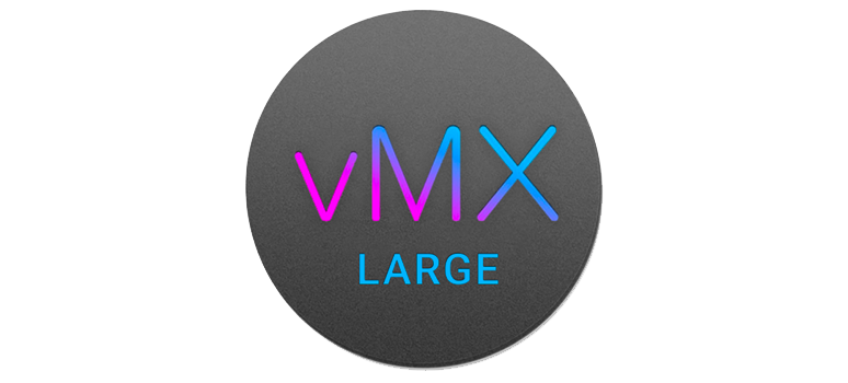 Cisco Meraki vMX Large